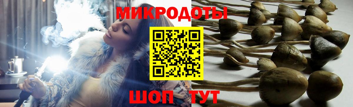 Галлюциногенные грибы Cubensis Нурлат
